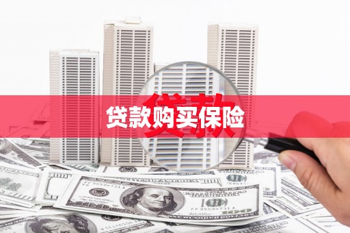 金湖贷款购买保险