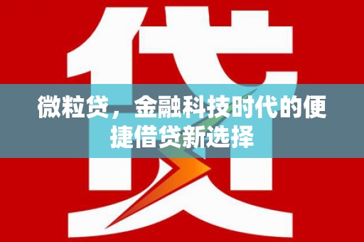 金湖微粒贷，金融科技时代的便捷借贷新选择