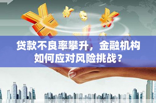 金湖贷款不良率攀升，金融机构如何应对风险挑战？