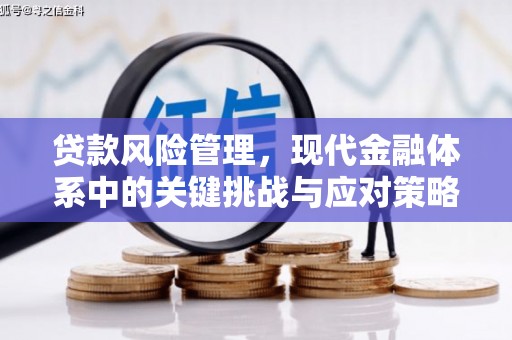 金湖贷款风险管理，现代金融体系中的关键挑战与应对策略