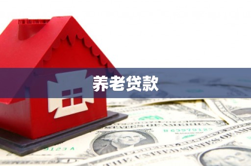 金湖养老贷款