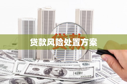 金湖贷款风险处置方案