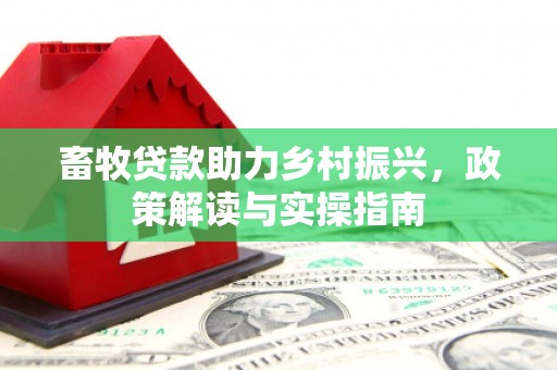金湖畜牧贷款助力乡村振兴，政策解读与实操指南