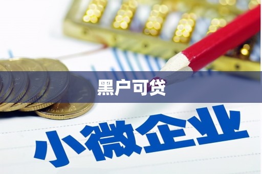 金湖黑户可贷