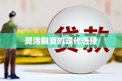 金湖灵活融资的现代选择