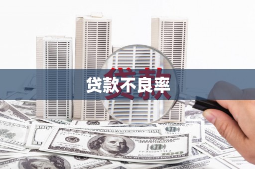 金湖贷款不良率