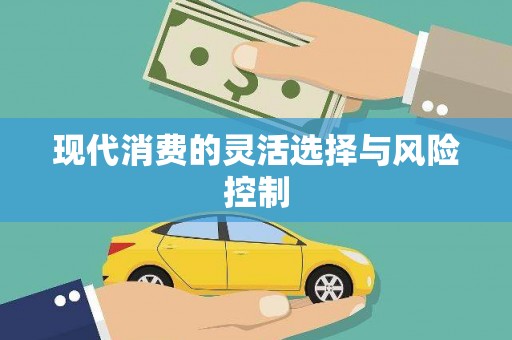 金湖现代消费的灵活选择与风险控制