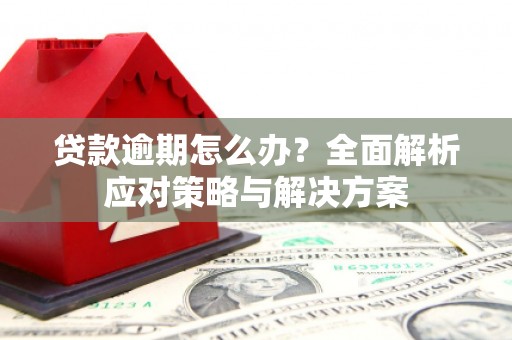 金湖贷款逾期怎么办？全面解析应对策略与解决方案