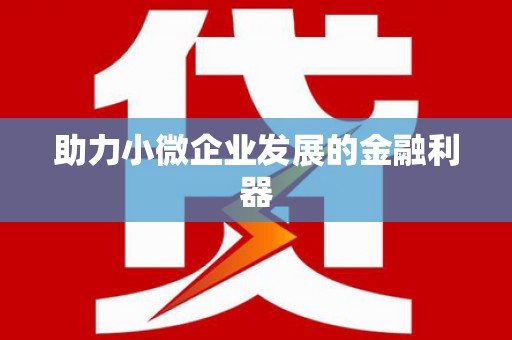 金湖助力小微企业发展的金融利器