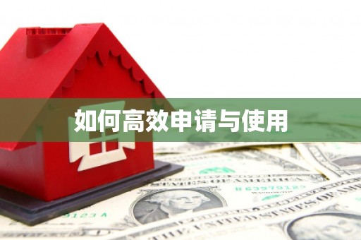金湖如何高效申请与使用