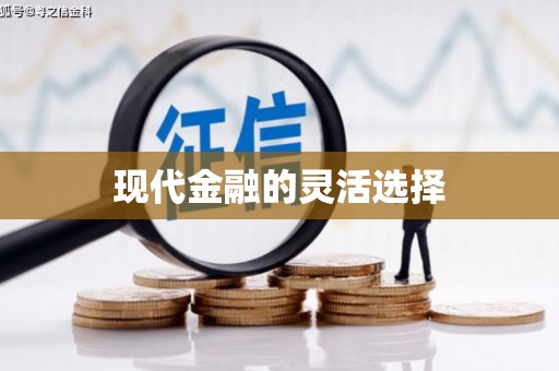 金湖现代金融的灵活选择