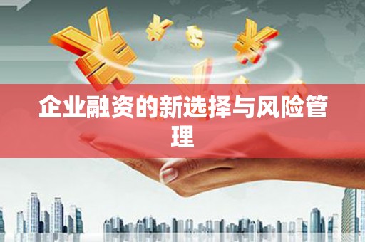 金湖企业融资的新选择与风险管理