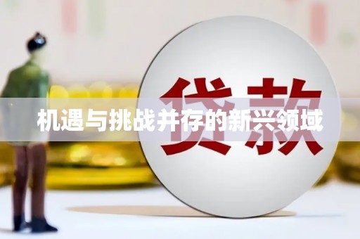 金湖机遇与挑战并存的新兴领域