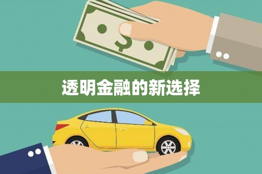 金湖透明金融的新选择