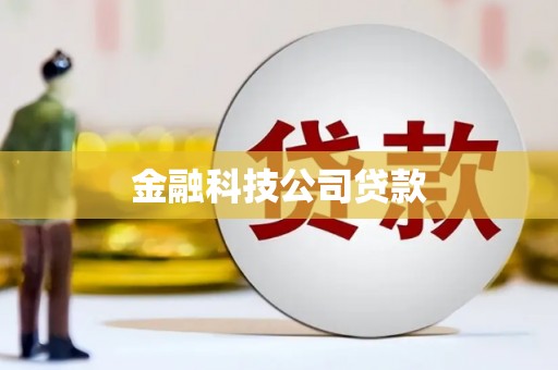金湖金融科技公司贷款