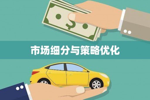 金湖市场细分与策略优化