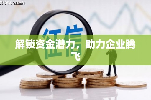 金湖解锁资金潜力，助力企业腾飞