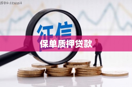 金湖保单质押贷款
