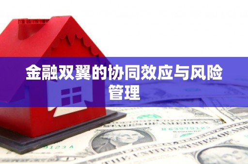 金湖金融双翼的协同效应与风险管理