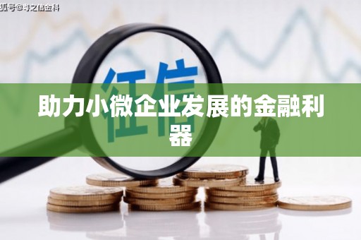 金湖助力小微企业发展的金融利器