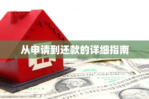 金湖从申请到还款的详细指南
