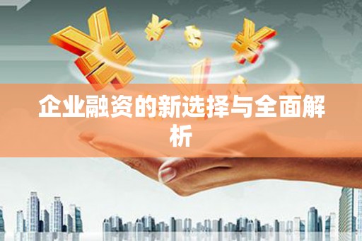 金湖企业融资的新选择与全面解析