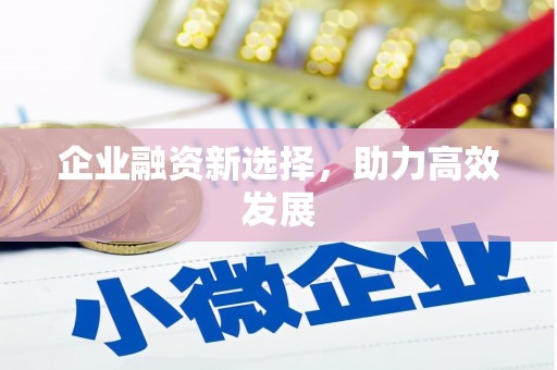 金湖企业融资新选择，助力高效发展