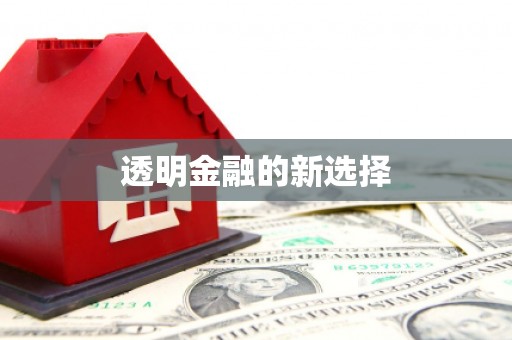 金湖透明金融的新选择