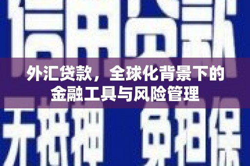 金湖外汇贷款，全球化背景下的金融工具与风险管理