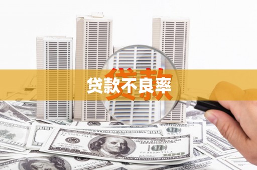 金湖贷款不良率