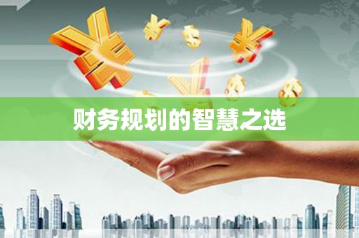 金湖财务规划的智慧之选