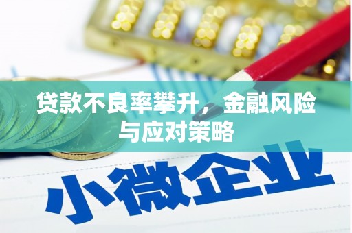 金湖贷款不良率攀升，金融风险与应对策略