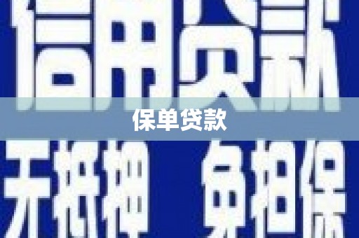 金湖保单贷款